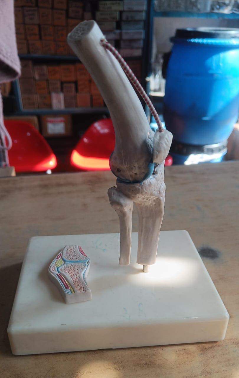 416079929_257887087299851_5304710152969992349_n