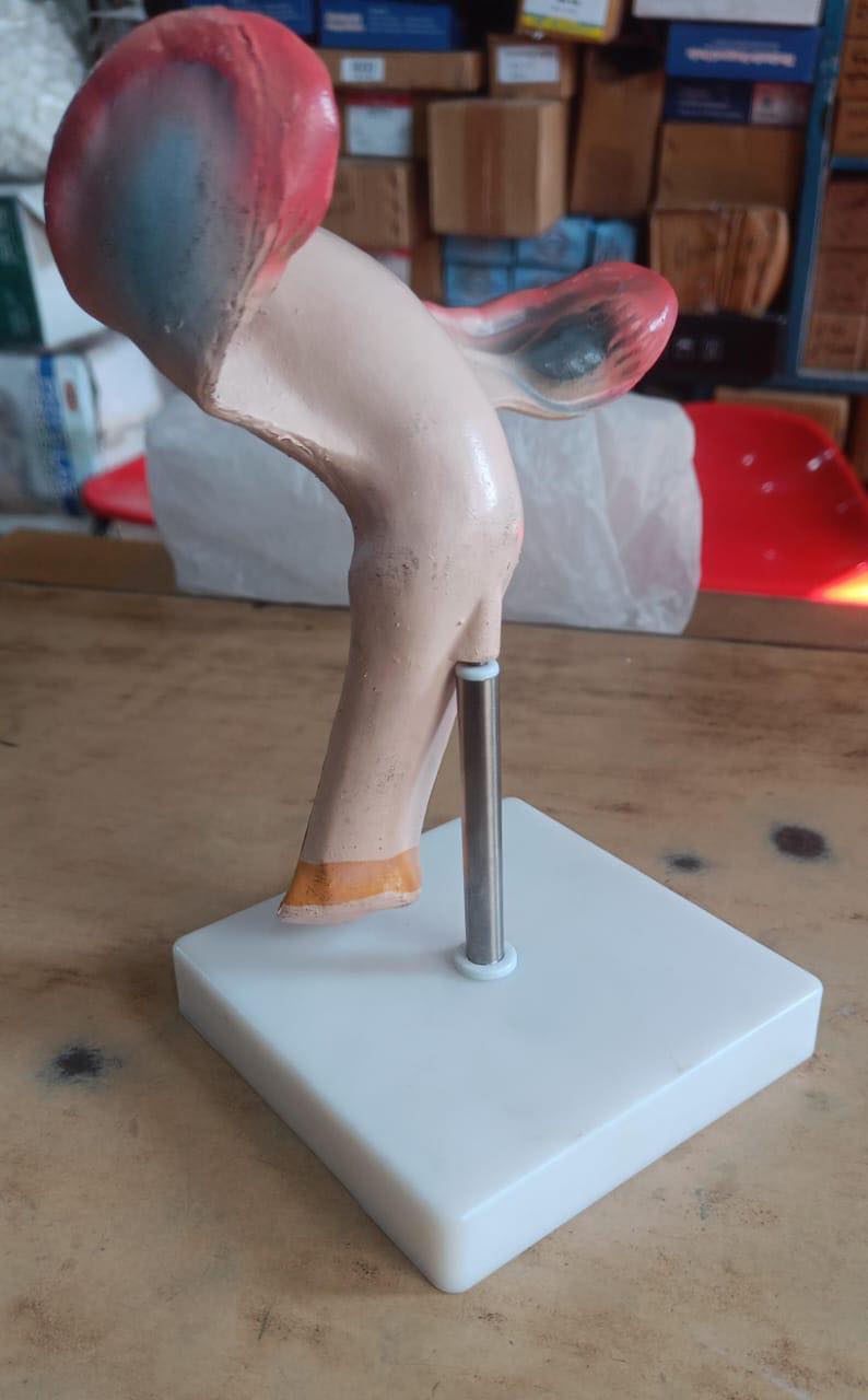 421879012_810601851080300_2906731816970647609_n