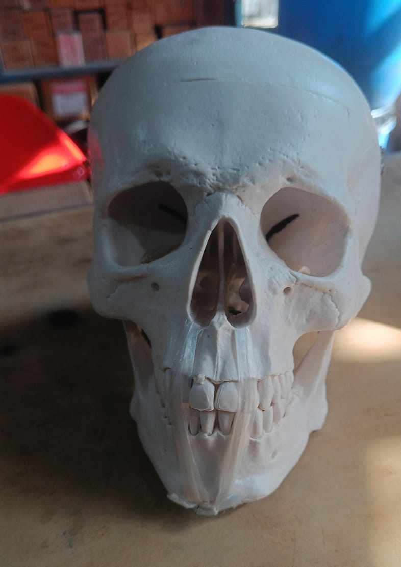 423766277_1321854888492383_2029227514193440392_n