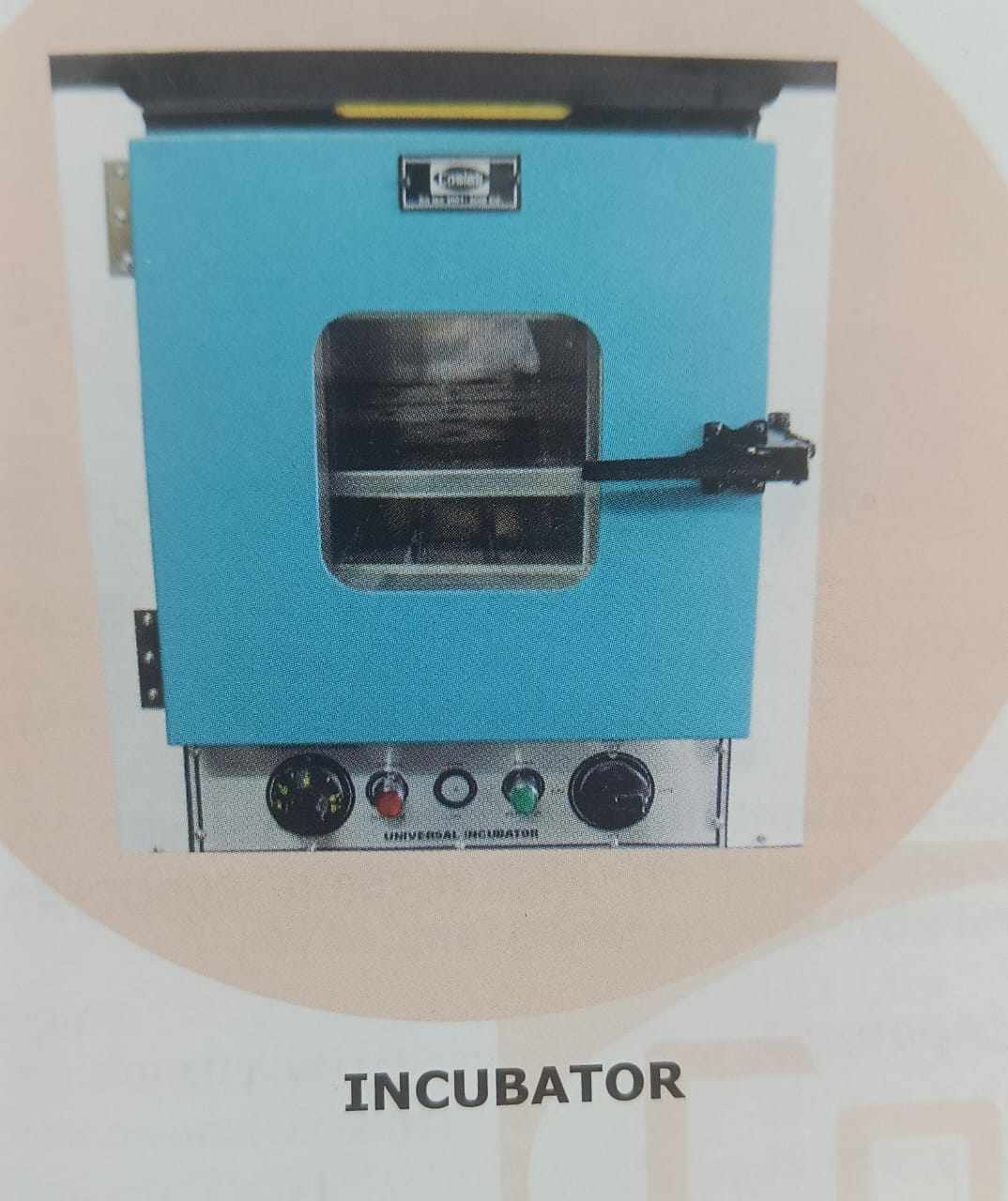 423944452_801139581838684_7971190870335003792_n